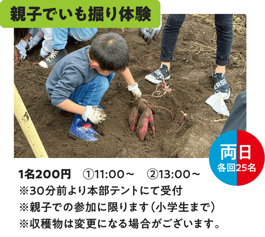 親子でいも掘り体験